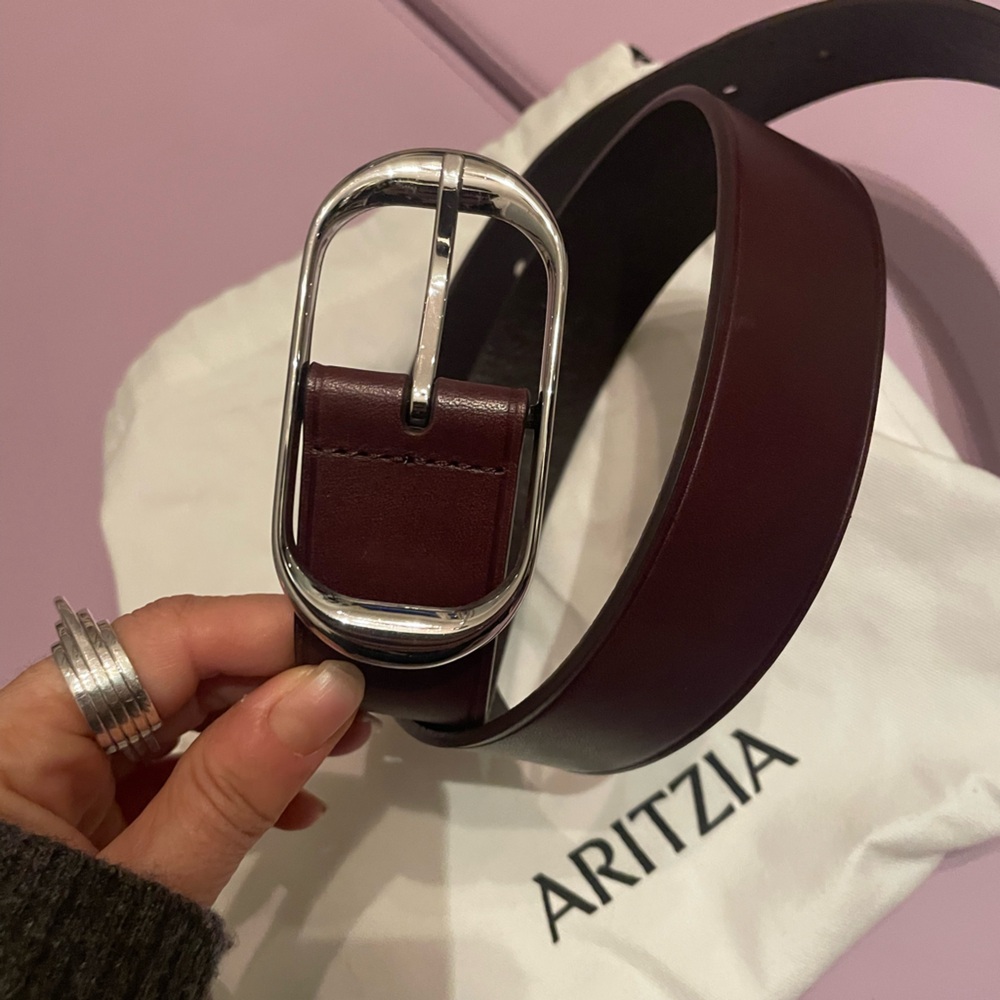 Aritzia Halo Dark Brown Silver Belt sz. XS Sold Out - Picture 5 of 8